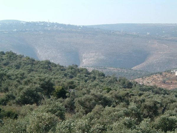 | موسوعة القرى الفلسطينية  | موسوعة القرى الفلسطينية