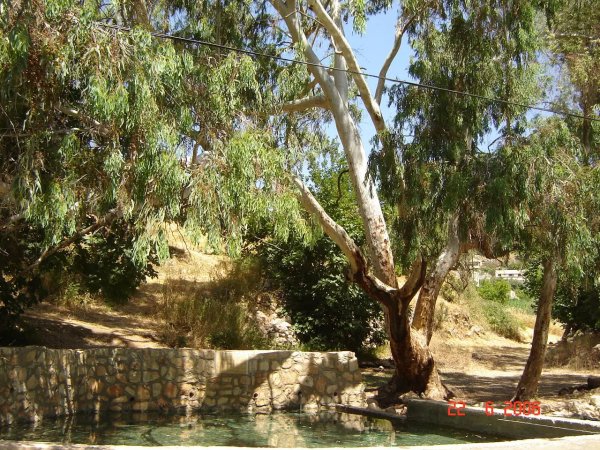 | موسوعة القرى الفلسطينية  | موسوعة القرى الفلسطينية