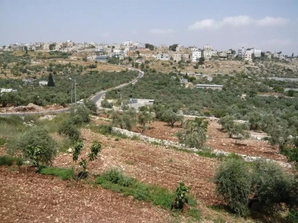 | موسوعة القرى الفلسطينية  | موسوعة القرى الفلسطينية
