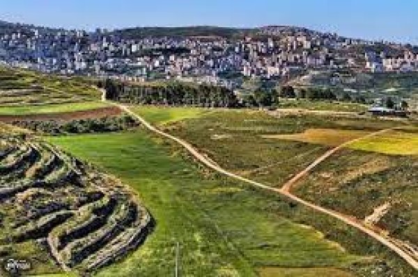 | موسوعة القرى الفلسطينية  | موسوعة القرى الفلسطينية