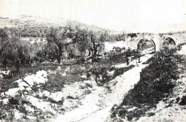 | موسوعة القرى الفلسطينية  | موسوعة القرى الفلسطينية