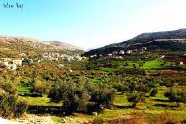 | موسوعة القرى الفلسطينية  | موسوعة القرى الفلسطينية