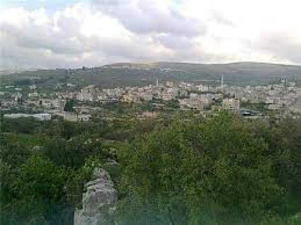 | موسوعة القرى الفلسطينية  | موسوعة القرى الفلسطينية