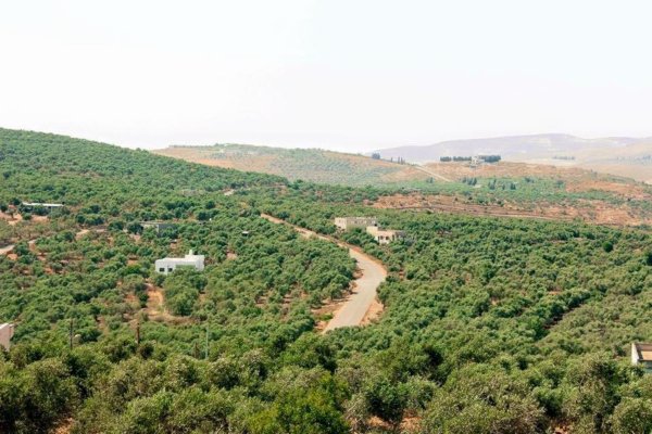| موسوعة القرى الفلسطينية  | موسوعة القرى الفلسطينية