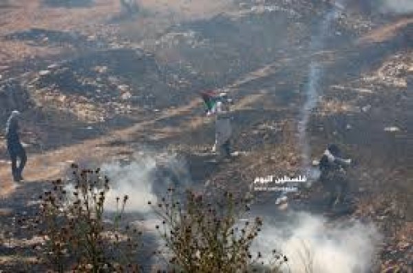 | موسوعة القرى الفلسطينية  | موسوعة القرى الفلسطينية