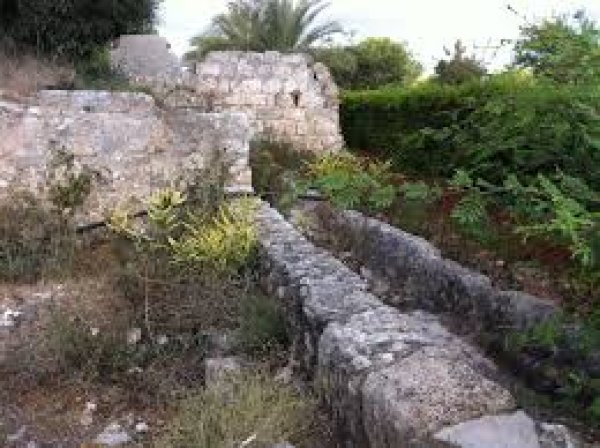 | موسوعة القرى الفلسطينية  | موسوعة القرى الفلسطينية