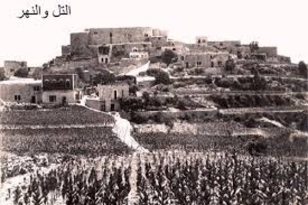 | موسوعة القرى الفلسطينية  | موسوعة القرى الفلسطينية