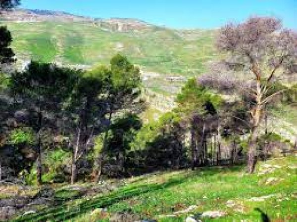 | موسوعة القرى الفلسطينية  | موسوعة القرى الفلسطينية