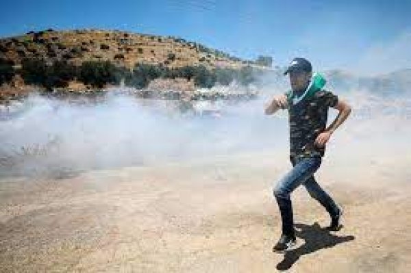 | موسوعة القرى الفلسطينية  | موسوعة القرى الفلسطينية