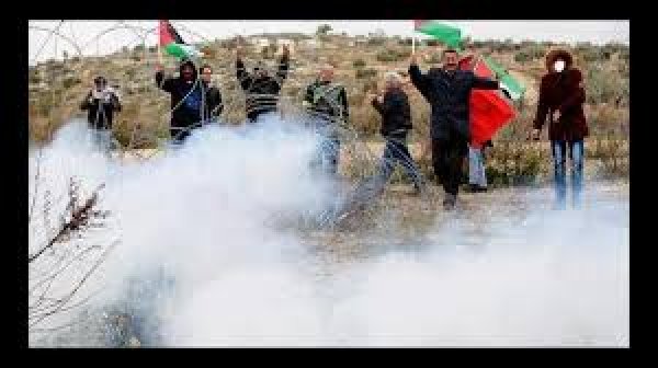 | موسوعة القرى الفلسطينية  | موسوعة القرى الفلسطينية