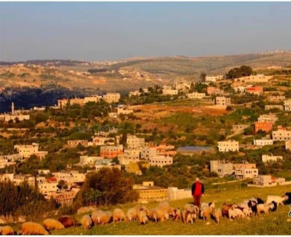 | موسوعة القرى الفلسطينية  | موسوعة القرى الفلسطينية