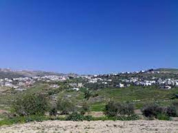 | موسوعة القرى الفلسطينية  | موسوعة القرى الفلسطينية