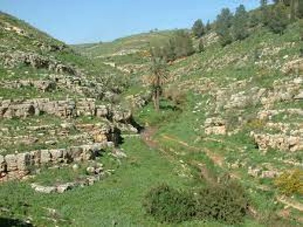 | موسوعة القرى الفلسطينية  | موسوعة القرى الفلسطينية