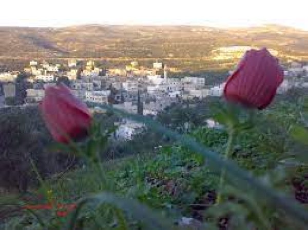  | موسوعة القرى الفلسطينية