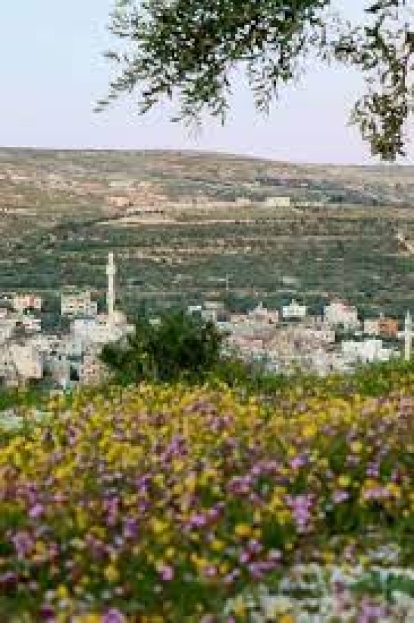  | موسوعة القرى الفلسطينية