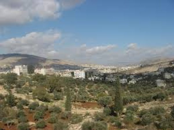 | موسوعة القرى الفلسطينية  | موسوعة القرى الفلسطينية