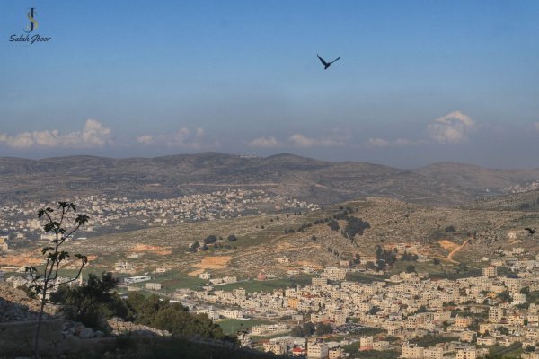 | موسوعة القرى الفلسطينية  | موسوعة القرى الفلسطينية