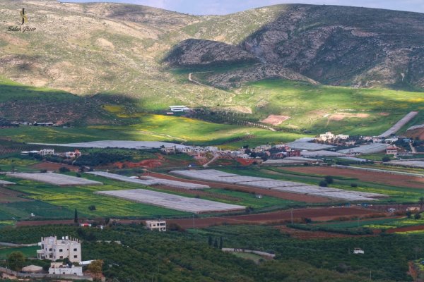 | موسوعة القرى الفلسطينية  | موسوعة القرى الفلسطينية