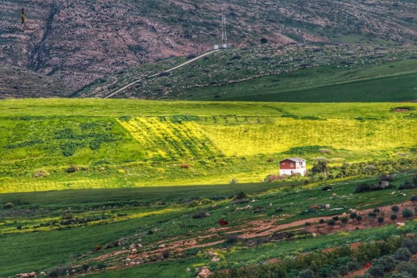 | موسوعة القرى الفلسطينية  | موسوعة القرى الفلسطينية