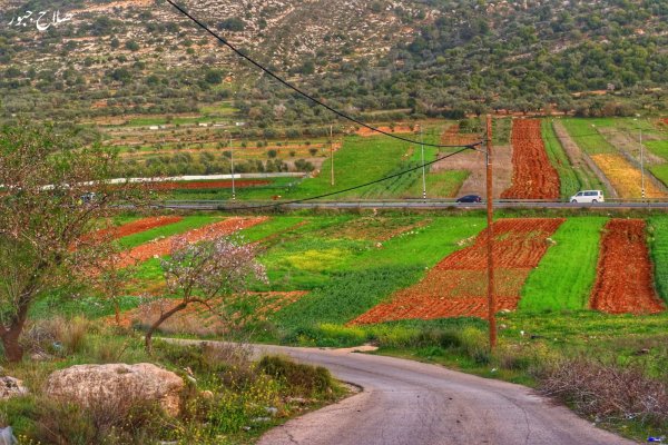 قريه سالم / نابلس تصوير صلاح جبور