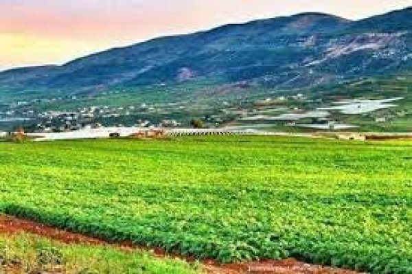 | موسوعة القرى الفلسطينية  | موسوعة القرى الفلسطينية