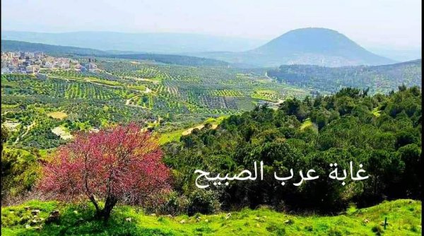  | موسوعة القرى الفلسطينية