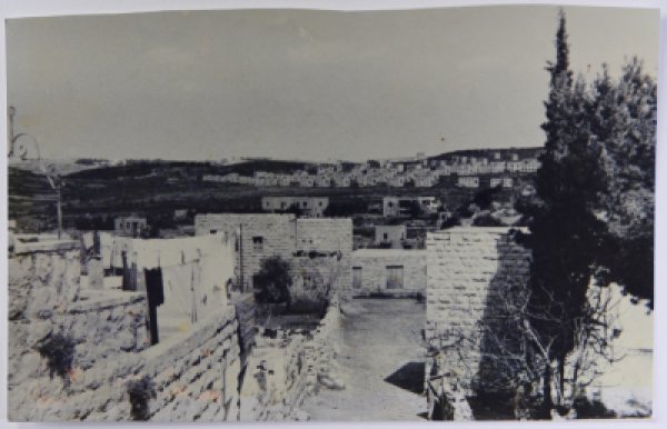 منظر عام لبيوت قرية بيت صفافا في القدس عام 1959.مجموهعة مصطفى عثمان منظر عام لبيوت قرية بيت صفافا في القدس عام 1959.مجموهعة مصطفى عثمان
