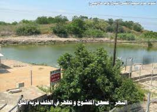  | موسوعة القرى الفلسطينية