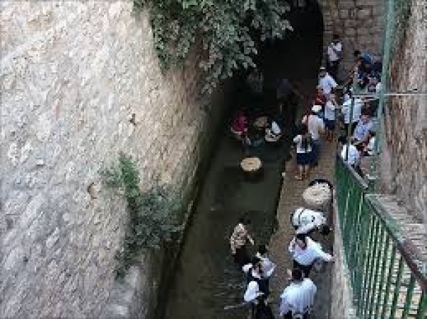 | موسوعة القرى الفلسطينية  | موسوعة القرى الفلسطينية