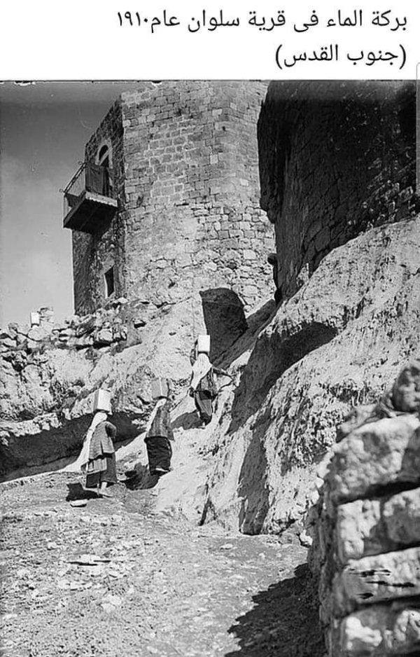 | موسوعة القرى الفلسطينية  | موسوعة القرى الفلسطينية