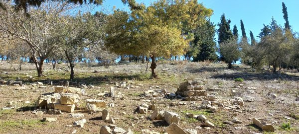 | موسوعة القرى الفلسطينية  | موسوعة القرى الفلسطينية