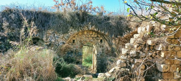 | موسوعة القرى الفلسطينية  | موسوعة القرى الفلسطينية
