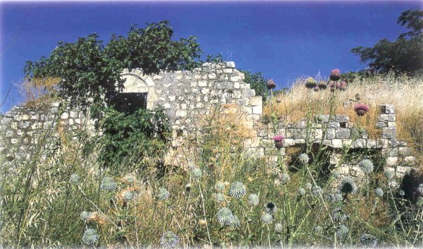 | موسوعة القرى الفلسطينية  | موسوعة القرى الفلسطينية