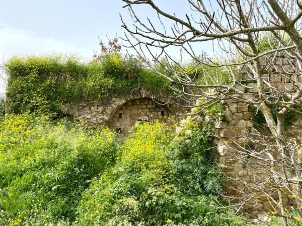 | موسوعة القرى الفلسطينية  | موسوعة القرى الفلسطينية