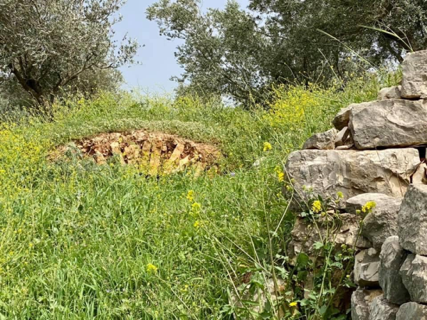 | موسوعة القرى الفلسطينية  | موسوعة القرى الفلسطينية