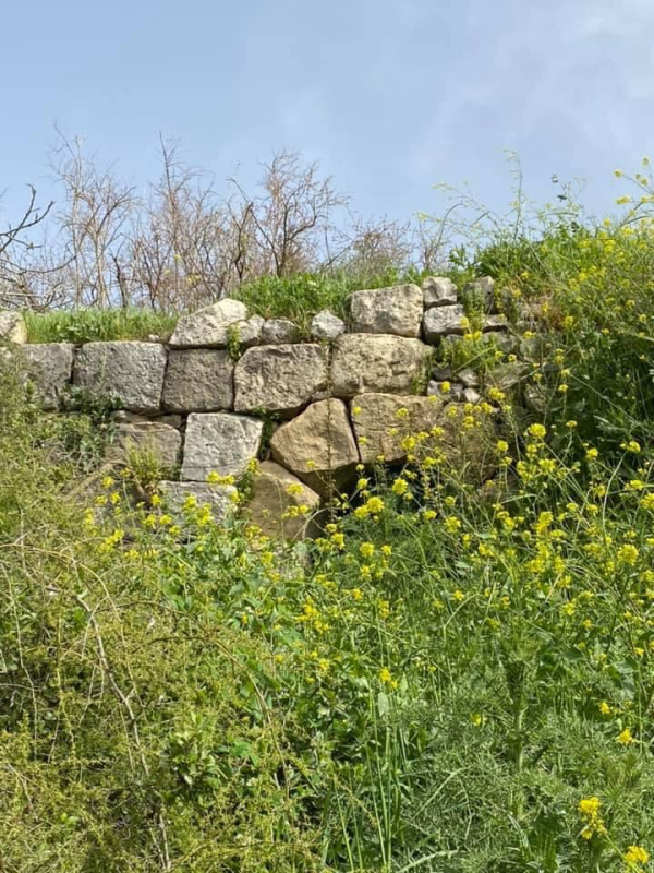 | موسوعة القرى الفلسطينية  | موسوعة القرى الفلسطينية