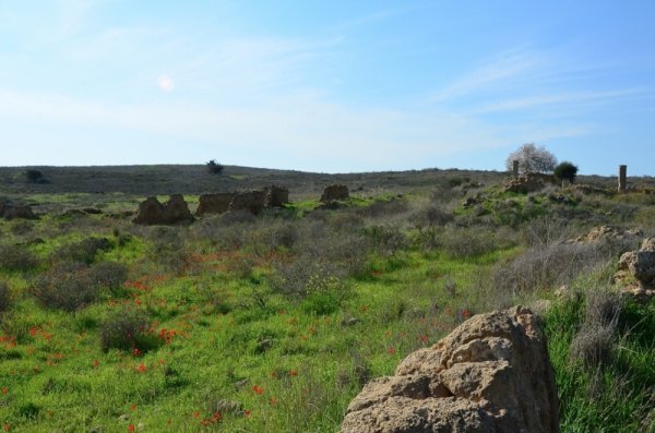  | موسوعة القرى الفلسطينية
