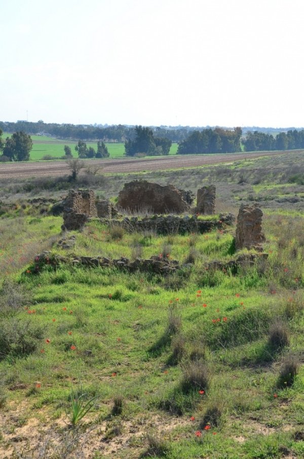  | موسوعة القرى الفلسطينية