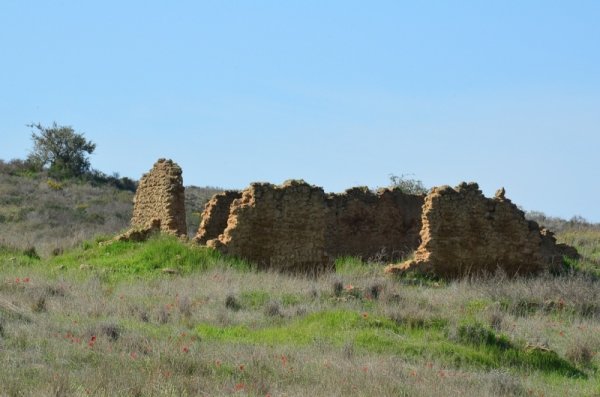  | موسوعة القرى الفلسطينية