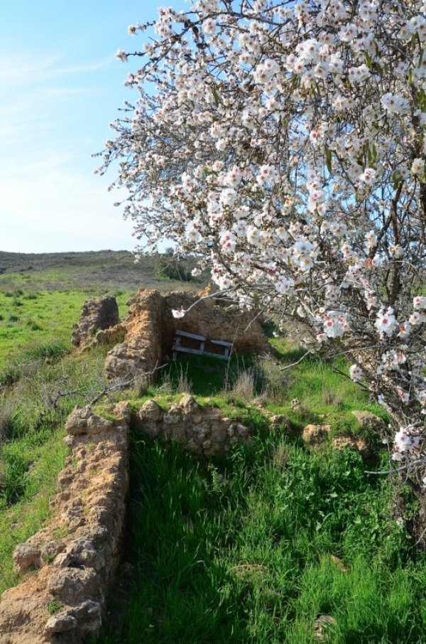  | موسوعة القرى الفلسطينية