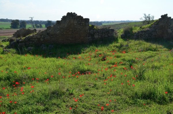  | موسوعة القرى الفلسطينية