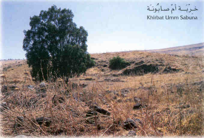 عرب البشاتوة