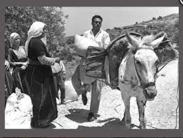 من عرب البشاتوة من عرب البشاتوة