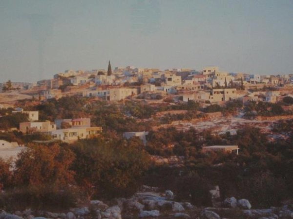 علار 1967 م , تصوير David Morton علار 1967 م , تصوير David Morton