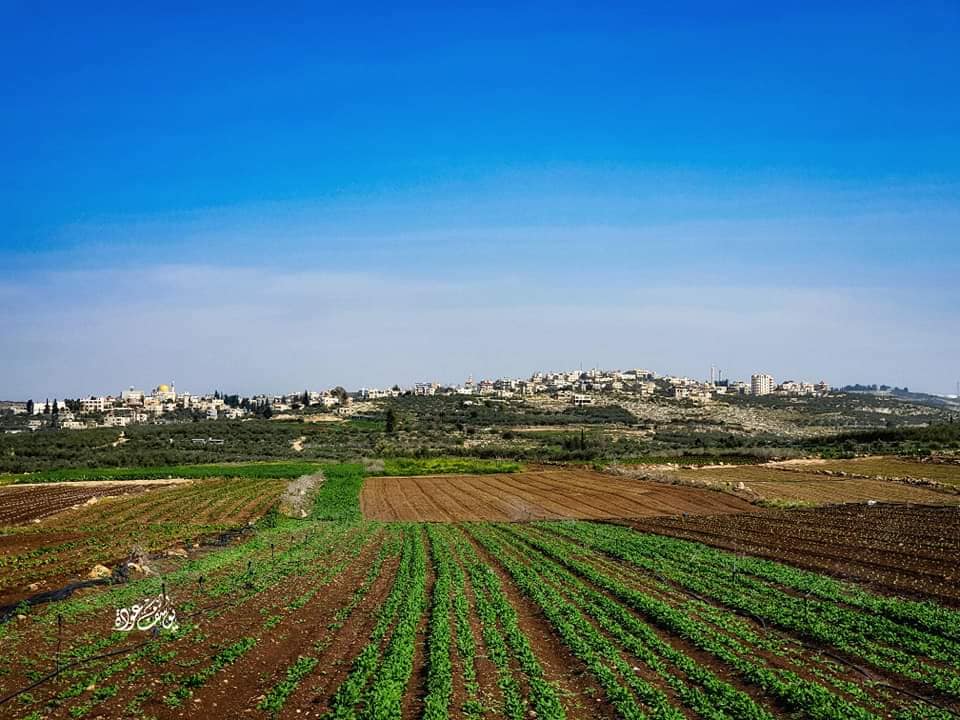  | موسوعة القرى الفلسطينية