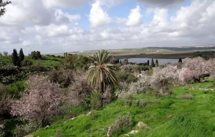  | موسوعة القرى الفلسطينية