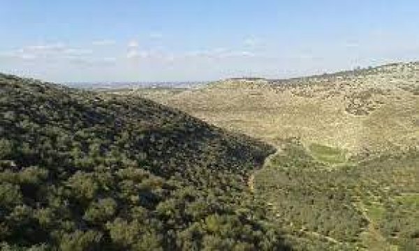 | موسوعة القرى الفلسطينية  | موسوعة القرى الفلسطينية