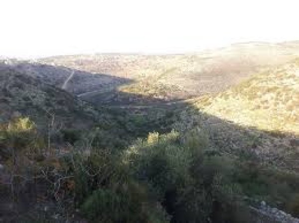 | موسوعة القرى الفلسطينية  | موسوعة القرى الفلسطينية