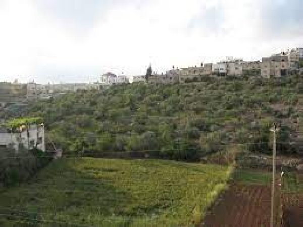 | موسوعة القرى الفلسطينية  | موسوعة القرى الفلسطينية