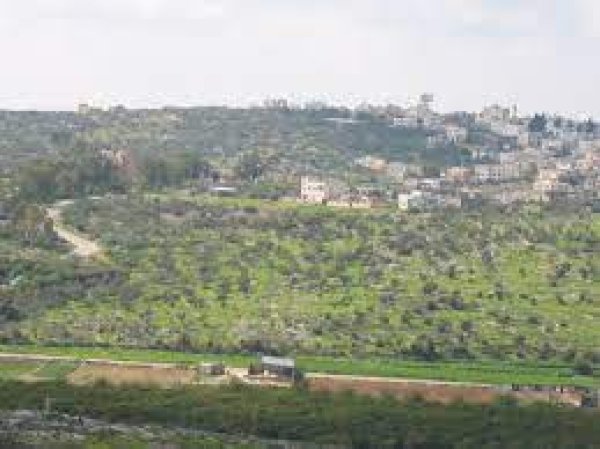 | موسوعة القرى الفلسطينية  | موسوعة القرى الفلسطينية